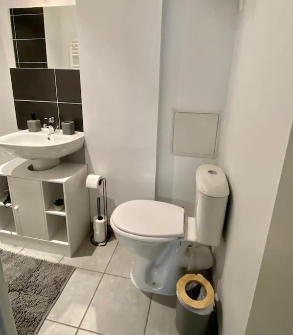 Vaste Appartement Renove - Centre Ville Bourg-en-Bresse Eksteriør billede